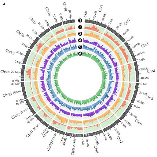 生物信息学之初学者（四）