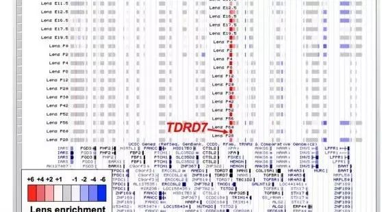 NAR数据库iSyTE 2.0（眼的基因表达数据库）