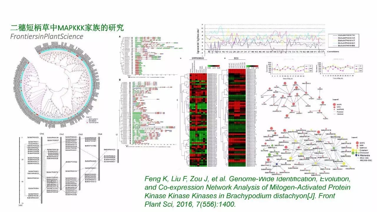 TCGA套路文章大全