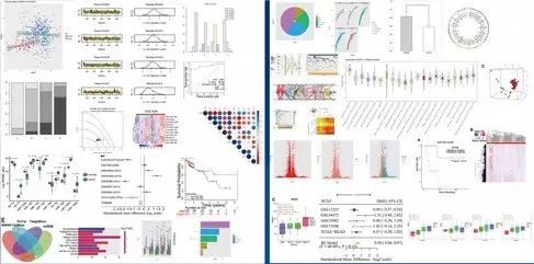 推广：R语言数据分析及绘图学习班