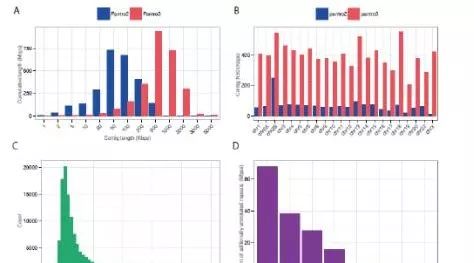 猩猩，已不是那个猩猩
