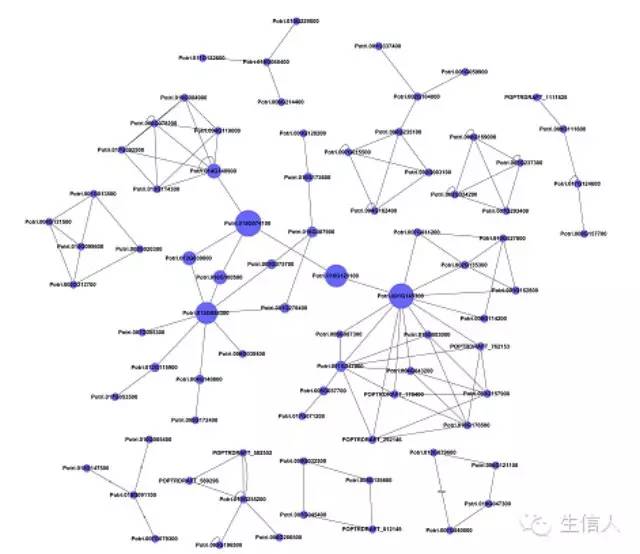 计算差异表达分析方法（rna-seq）