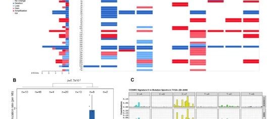 多组学联合分子分型文章解读|cancer cell