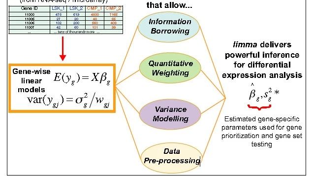 熟悉又陌生的limma