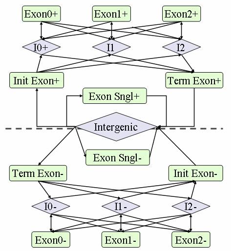 干货|基因注释方法