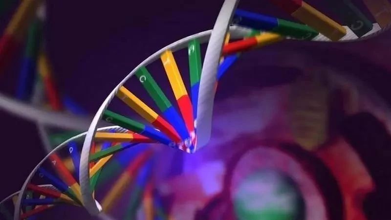 转录组专题班|早鸟价立减200