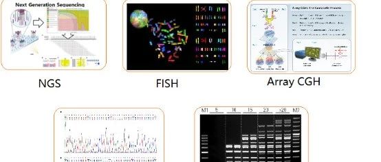 “晚育族”的你害怕了么？快来吃瓜压压惊