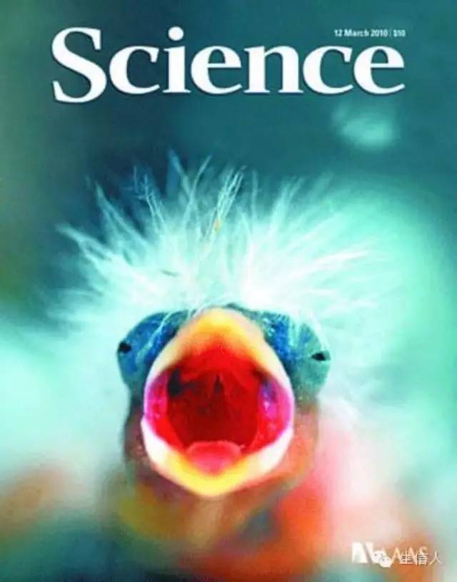 《科学》选出2015年最受欢迎十张图片