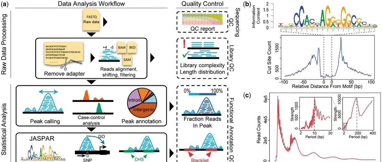 沙湿兄生信软件测评第一期