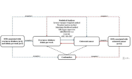 没有临床数据也不做试验，还可以上4分？——巧利用孟德尔随机化揭示恶性肿瘤危险因素