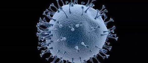 新冠肺炎靶标汇总|结构生物信息学