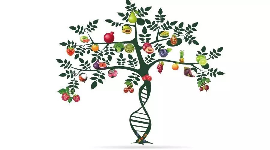 推广：6.11-12日首届全国精准医学与生物样本库高峰论坛-北京