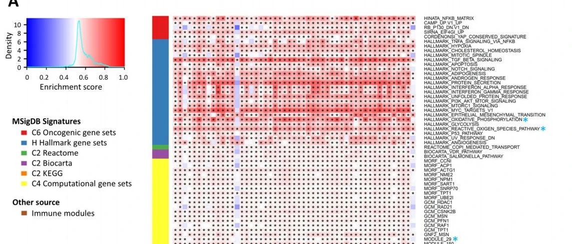 Genome Medicine|多组学鉴定肾癌新药靶