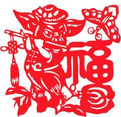 猪基因组文章解读