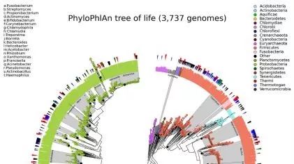 进化树作图专题四：命令行绘树工具