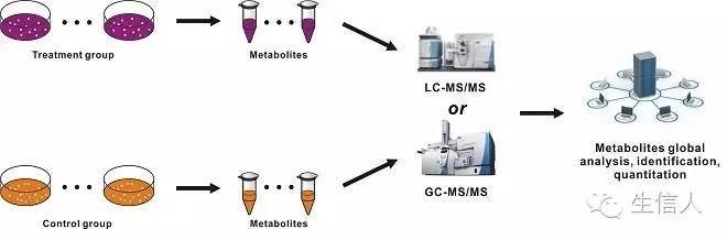你了解代谢组学吗？