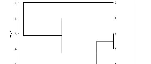 跨界muscle构建进化树