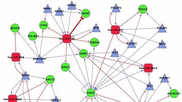 测序与芯片高通量数据挖掘与分析学习班（北京 7.14-15，上海8.4-5）