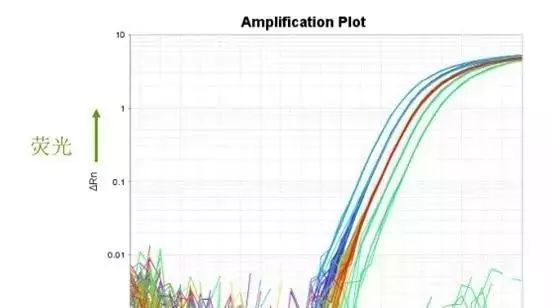RNAseq终极篇章qPCR