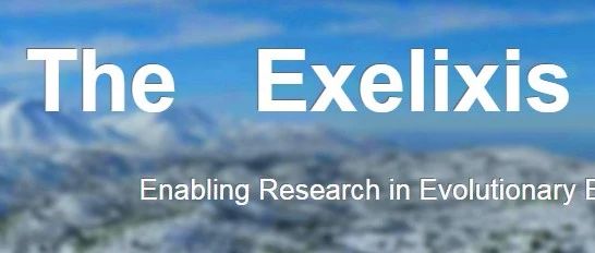 号外|RAxML进化树构建换代啦