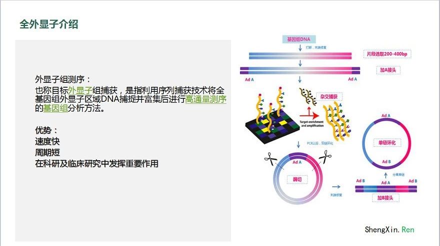 外显子测序生信分析视频上线了