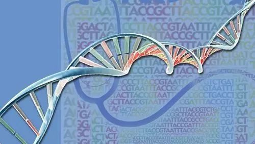 近期高水平生物信息学文献速递（3.10）