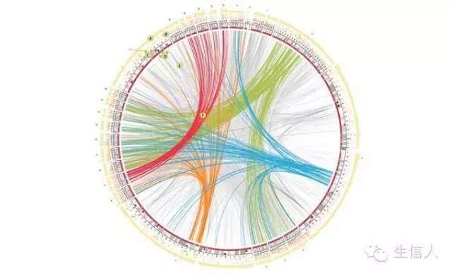 基因组可视化程序 Circos简介+安装