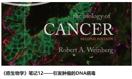 SXR202202011C 病毒肿瘤数据库-OncoDB 2022版已上线，速来围观！