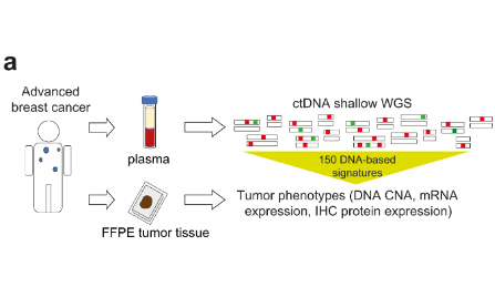 SXR2023040006B-“滴血验癌”之ctDNA如何真正发挥临床价值？