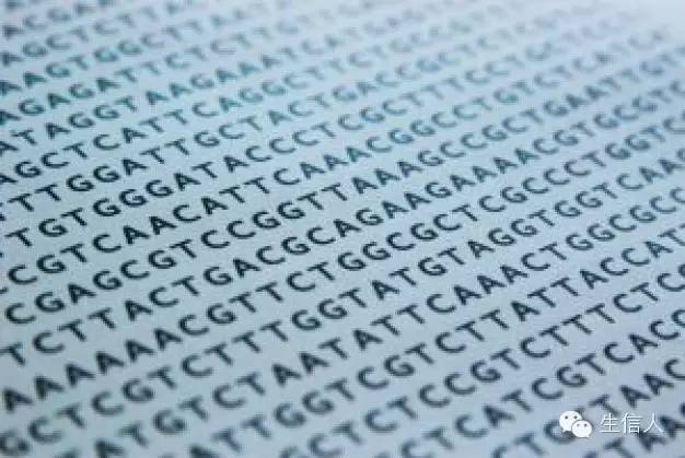 2倍简并位点及4倍简并位点