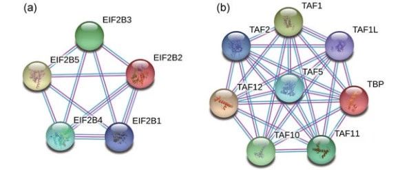 miRNA和单抗的不解之缘