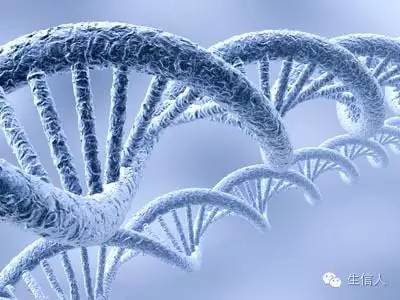 DNA、RNA提取总结及注意事项