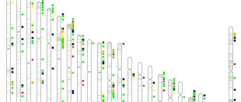 疾病纯生信第4篇-缺血性中风甲基化调节因子