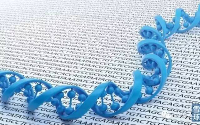 基因测序发展新态势