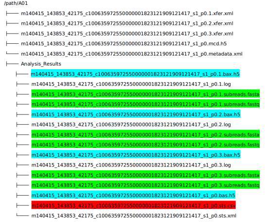 PacBio下机数据介绍