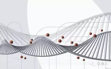 MetaGenome Orf 预测