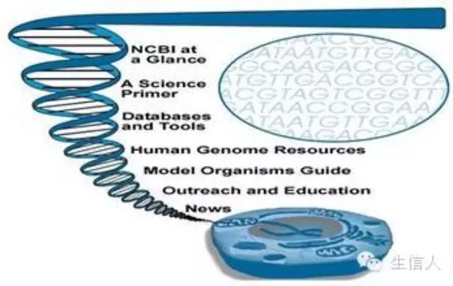如何向NCBI上传数据