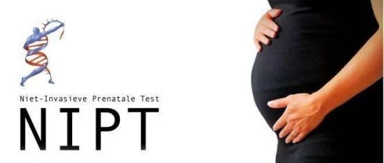 不用卖肾就能get的NIPT Plus
