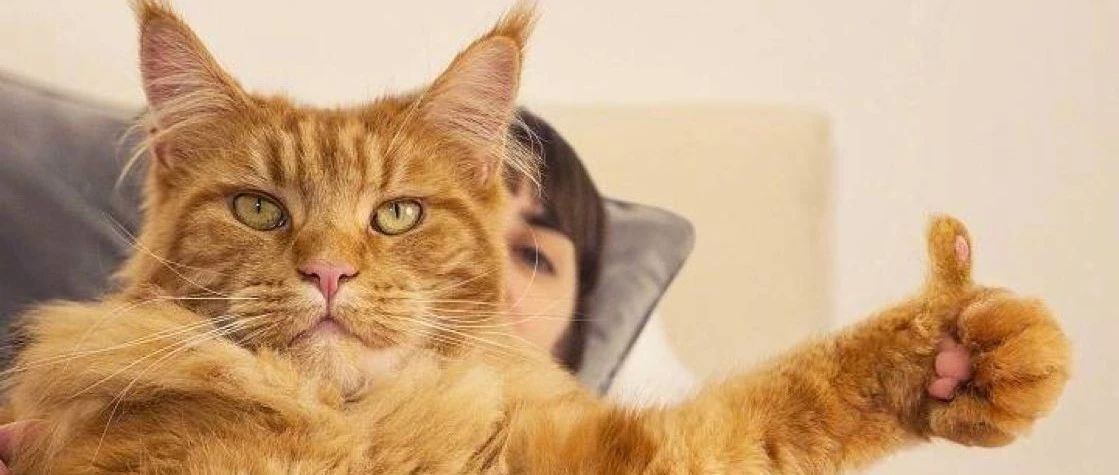 生信软件莫名报错，别方，改个名试试