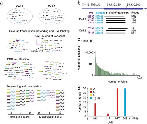 单细胞测序知多少
