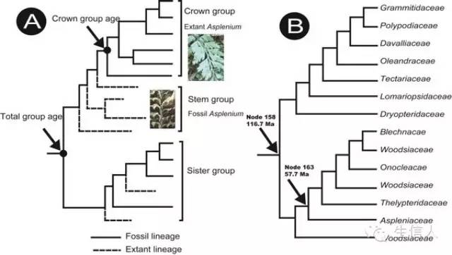 有哪些重大发现是通过生物信息学的方法发现的？