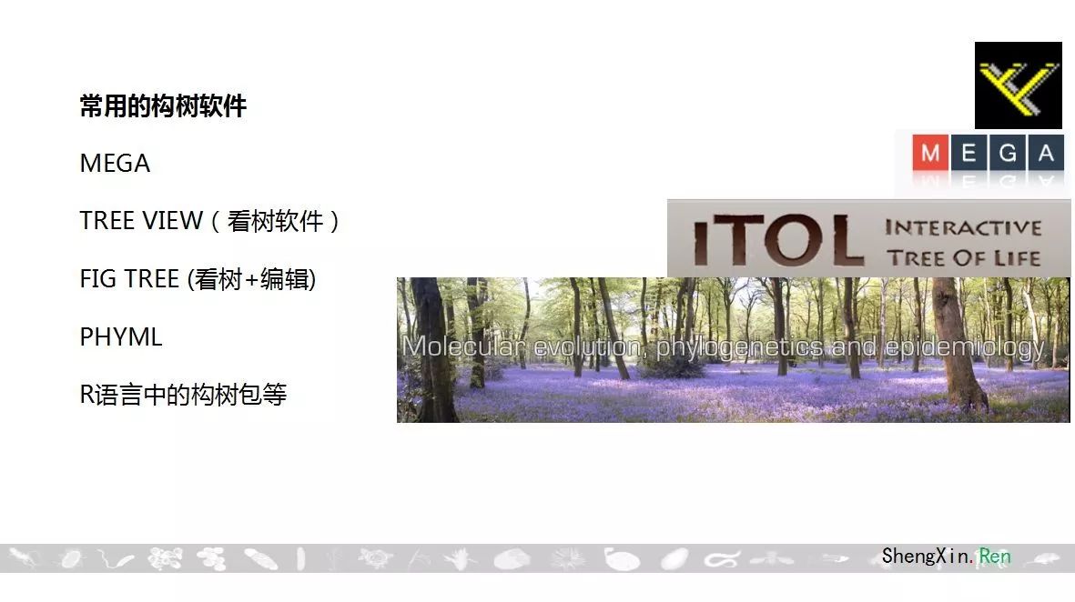 跨年需要进化，生信人课堂首发