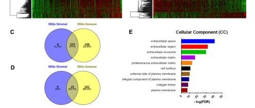 肿瘤微环境预后基因挖掘套路讲解