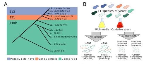 2019年3月bioRxiv生信好文速览