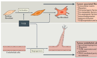 生信人TGF-β系列专题1—癌症中的矛盾体