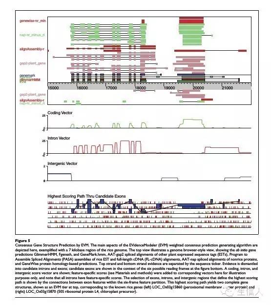 基因预测结果整合软件：EVM