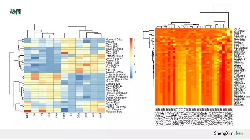 数据分析与R语言制图