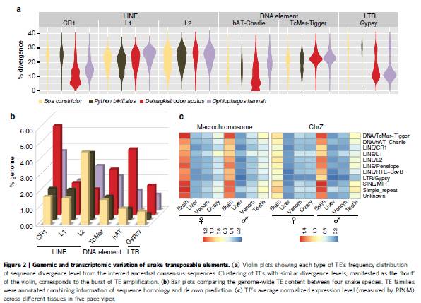 推广：计算中心微生物组学分析研讨班