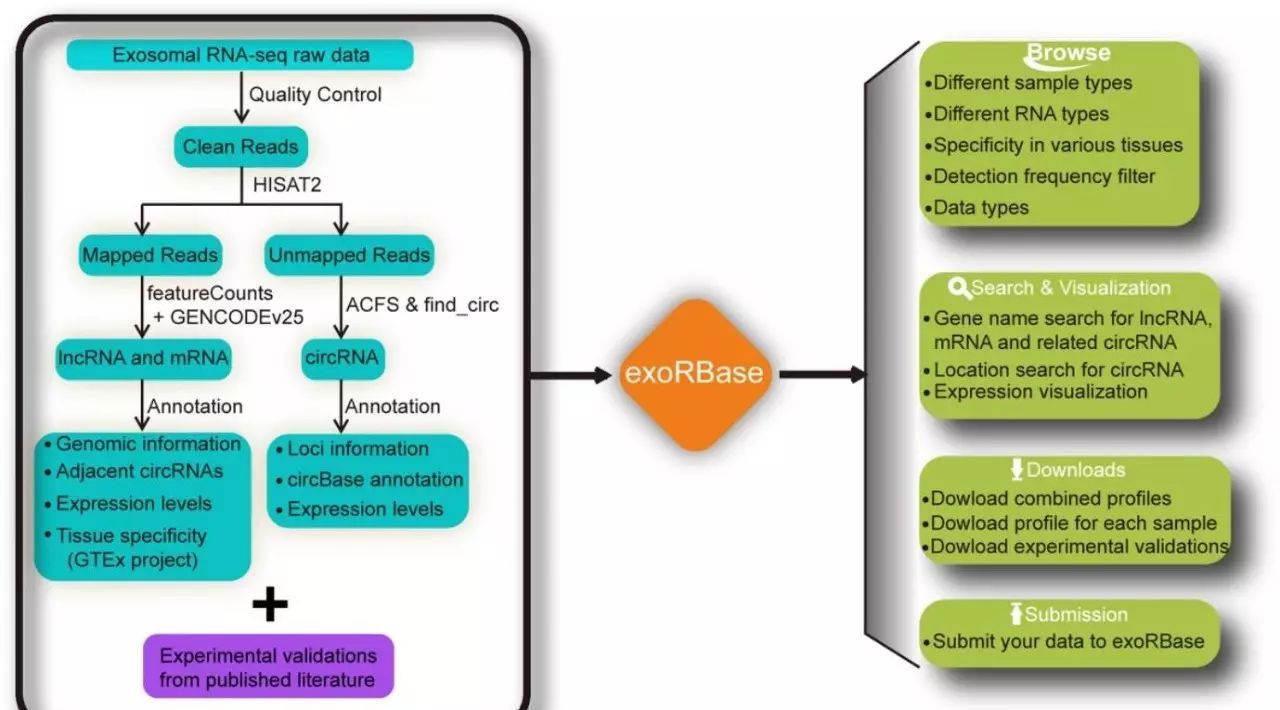 exoRBase数据库介绍NAR