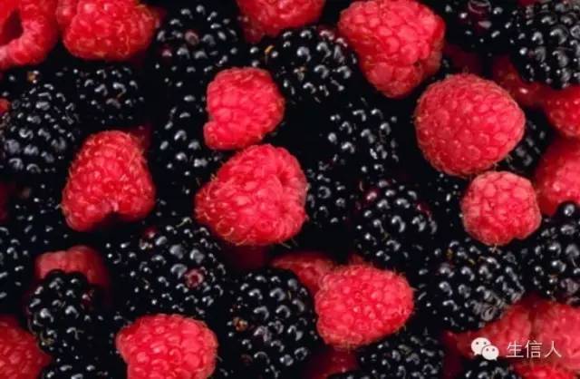 卵巢癌：耐药难题正在被攻克